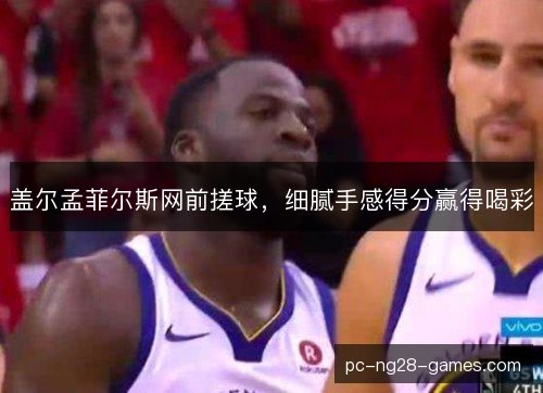 盖尔孟菲尔斯网前搓球，细腻手感得分赢得喝彩